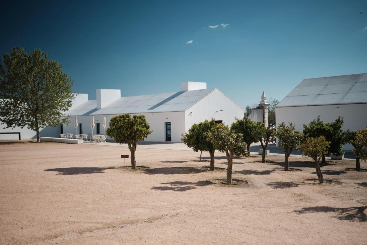 Torre De Palma Wine Hotel, Monforte, A Member Of Design Hotels Luaran gambar