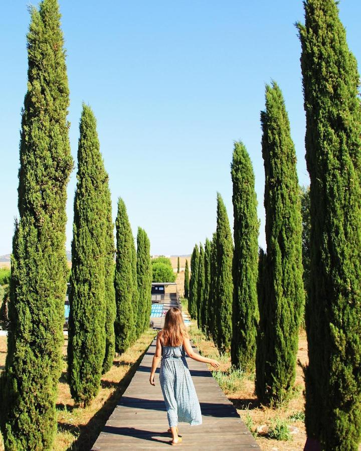 Torre De Palma Wine Hotel, Monforte, A Member Of Design Hotels Luaran gambar